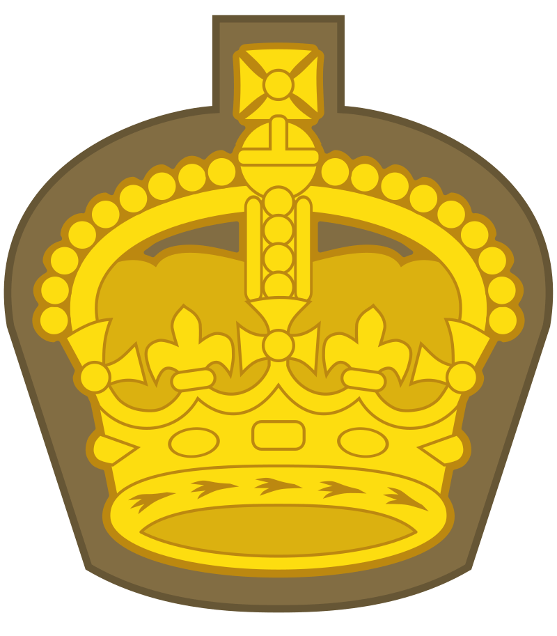 Rank Icon